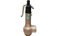 Safety Valves