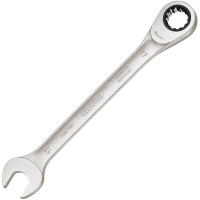 Ratcheting Spanners